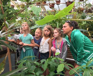 Vleeseters in de Hortus botanicus Leiden!