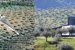 Collage van een luchtfoto met het vroegere gebouw van het Open Science Platform en het vernieuwde Open Science Platform.