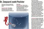 NRC - Dr. Zeepaard zoekt Poolster