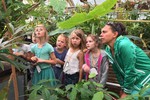 Vleeseters in de Hortus botanicus Leiden!